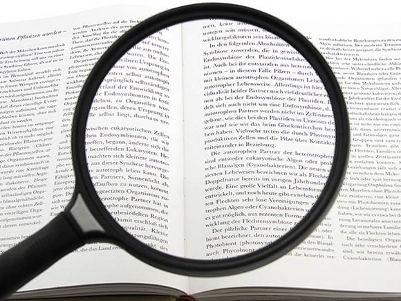 Лупа 89080 (2,5х, диаметр 130 мм) Лупа 89080 (2,5х, диаметр 130 мм)