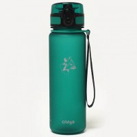 Бутылка Сплав Raccoon 500 мл, тритан