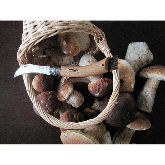 Нож грибника Opinel №8, нержавеющая сталь, рукоять бук, 001252 Нож грибника Opinel №8, нержавеющая сталь, рукоять бук, 001252